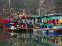 Coastal Life of Cat Ba Island (Vietnam)